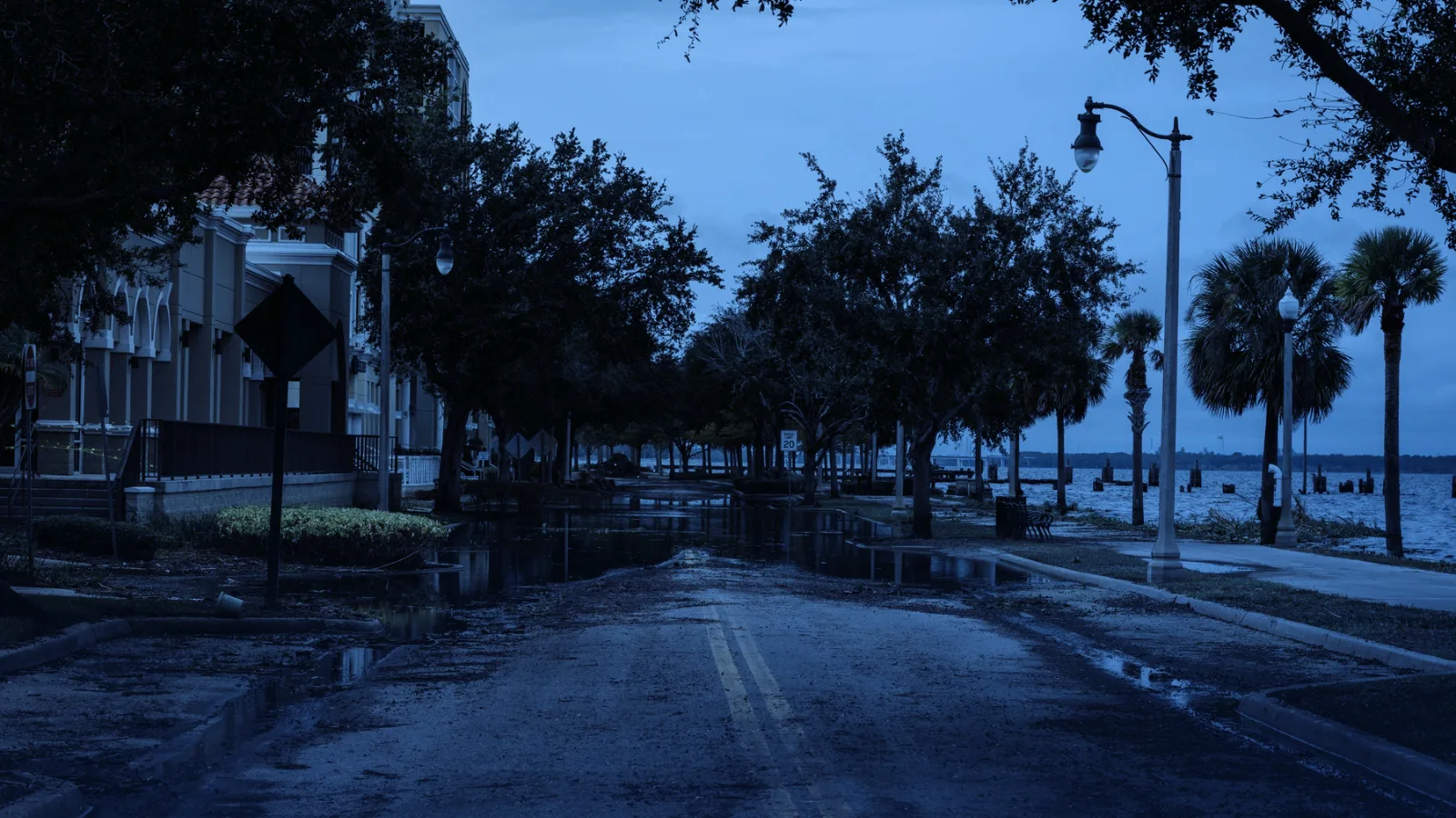 Calle urbana con agua acumulada y palmeras junto al mar