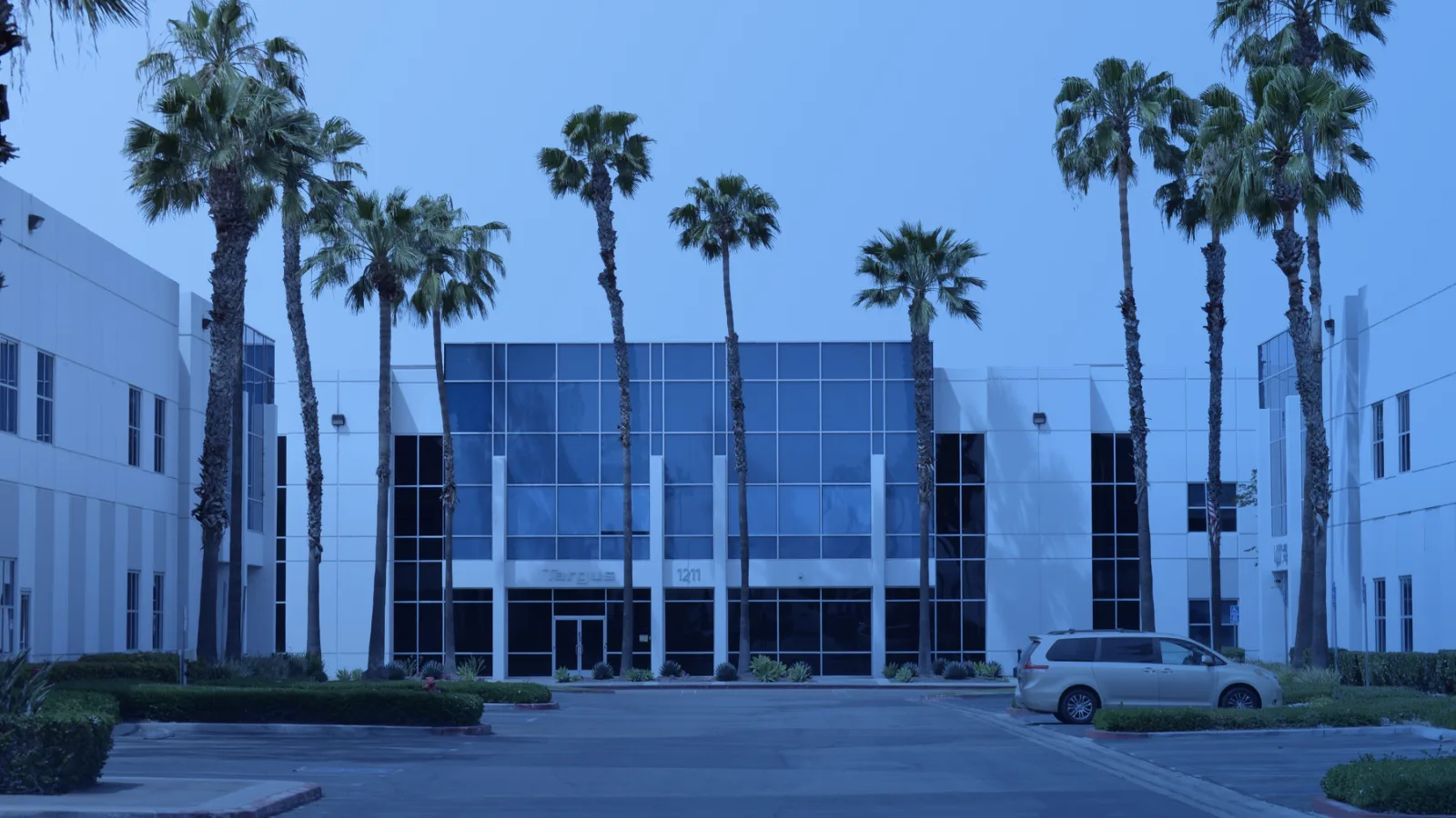 Edificio de oficinas de vidrio rodeado de palmeras