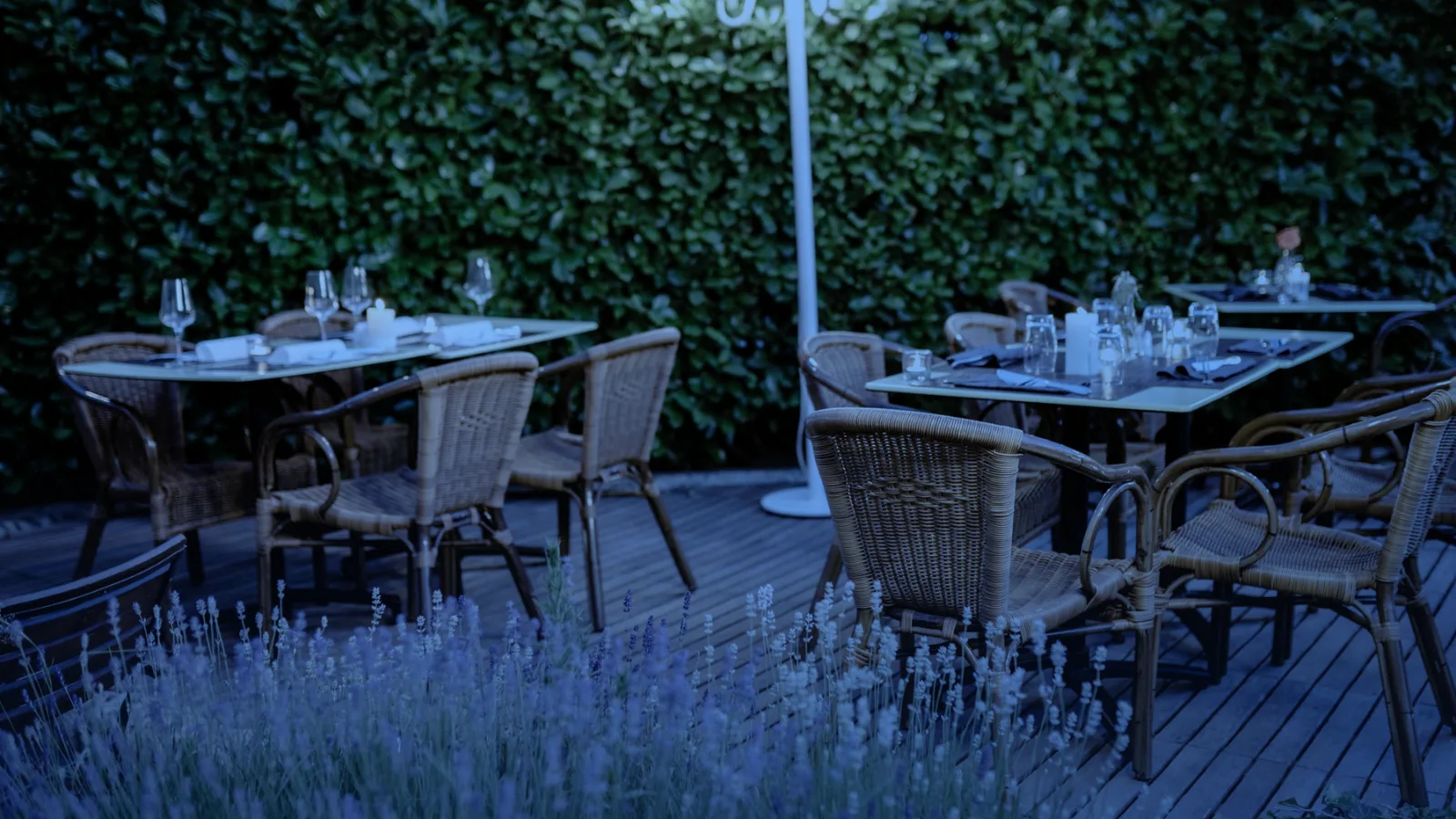 Terraza de restaurante con mesas y sillas vacías entre setos