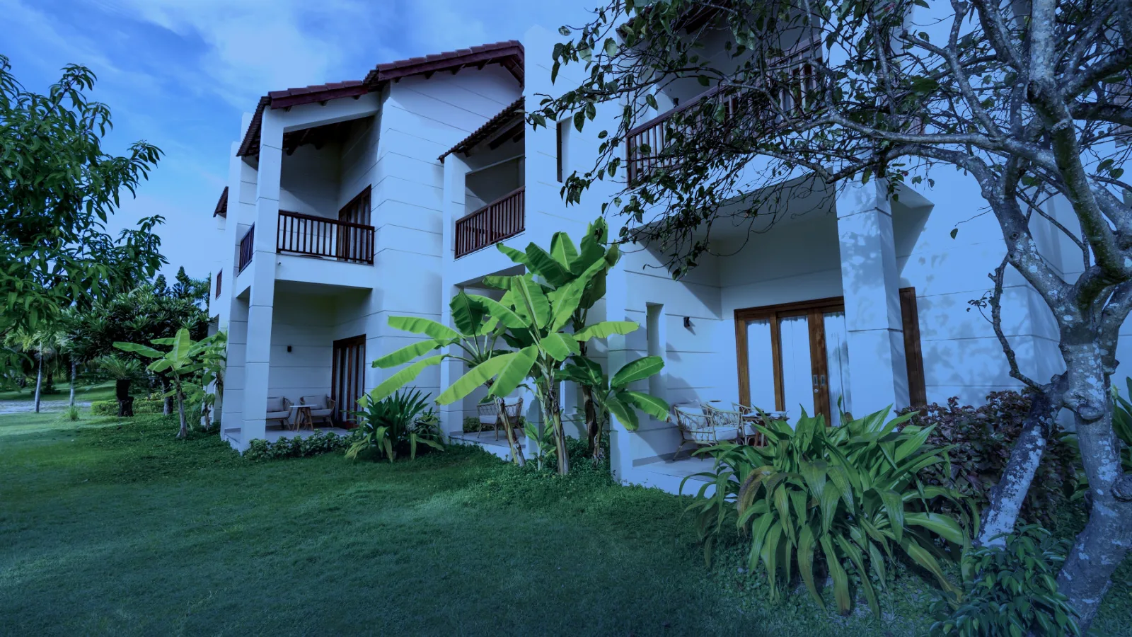 Casa moderna rodeada de césped y plantas tropicales