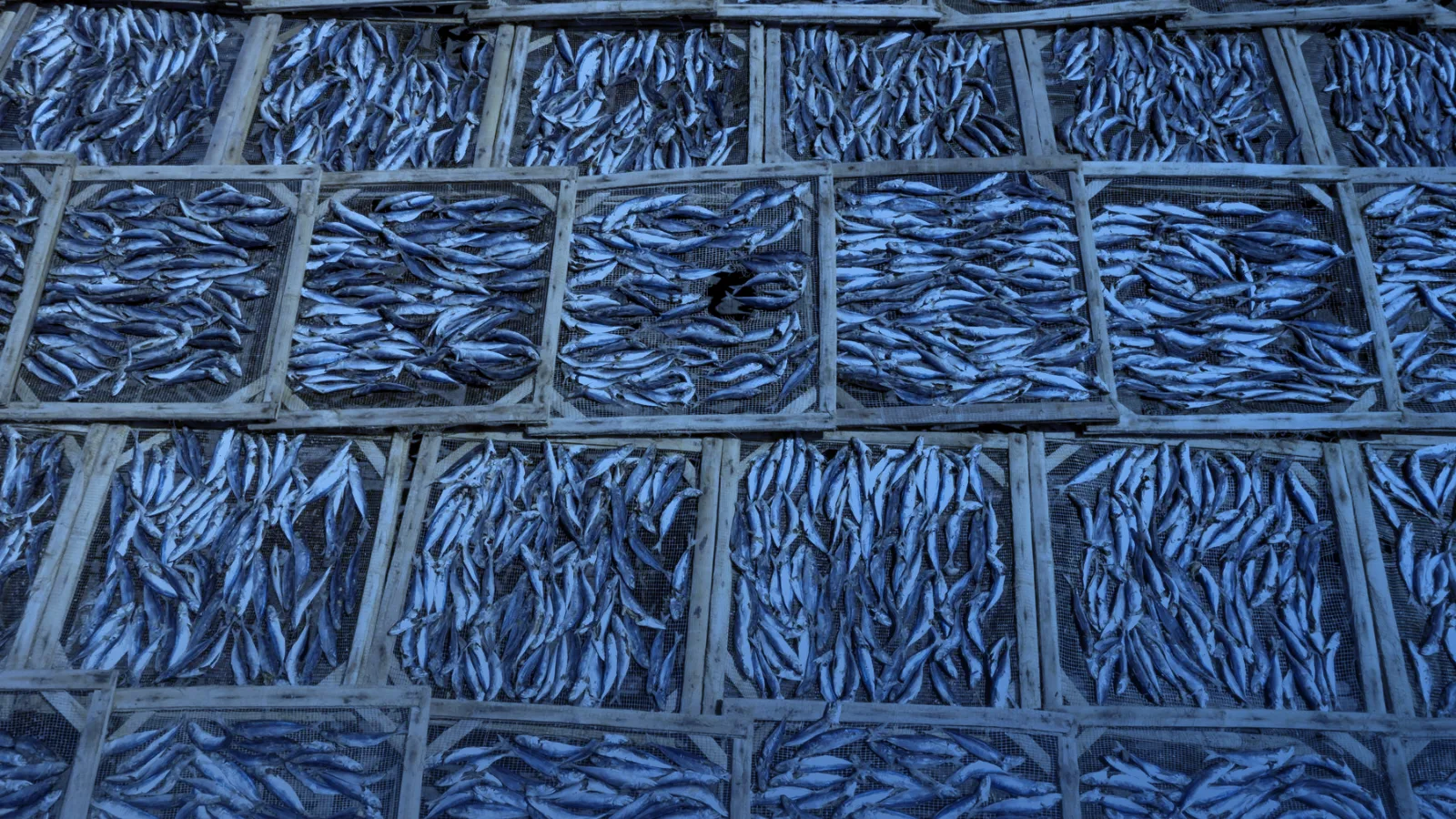 Bandejas de madera con pescado vistas desde arriba