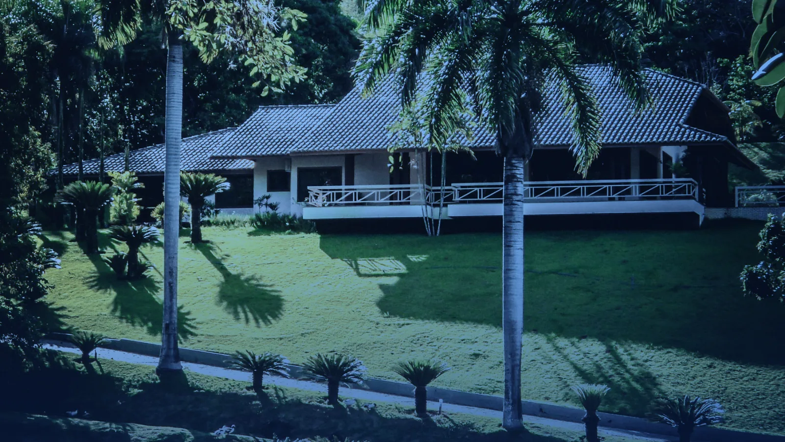 Casa de campo tropical junto a un estanque rodeado de palmeras